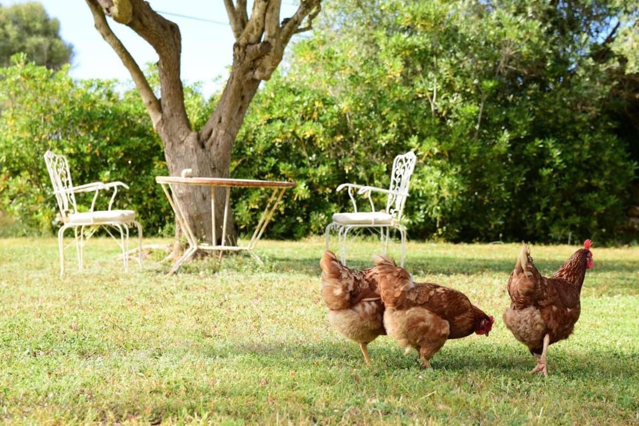 Binicalsitx Casa Rural Ferreries Ngoại thất bức ảnh